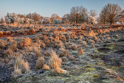 BUITEN BEELD Foto: 452586