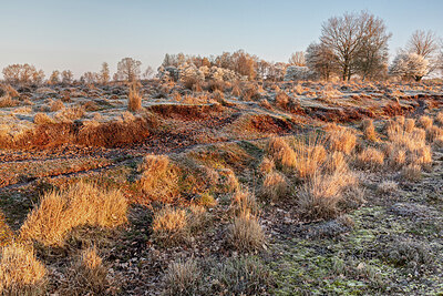 BUITEN BEELD Foto: 452587