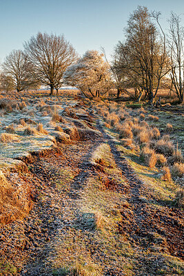 BUITEN BEELD Foto: 452589