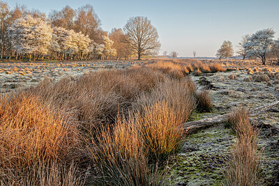 BUITEN BEELD Foto: 452591