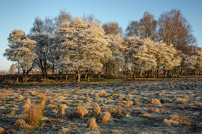 BUITEN BEELD Foto: 452593