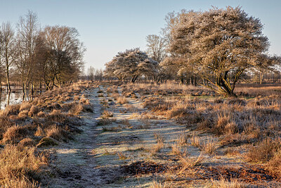 BUITEN BEELD Foto: 452594