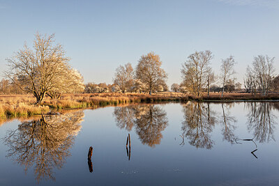 BUITEN BEELD Foto: 452595