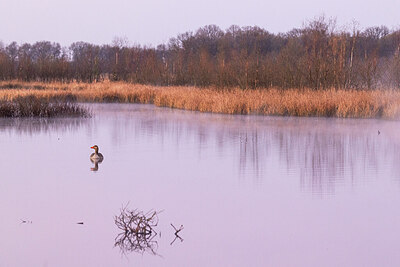 BUITEN BEELD Foto: 452598