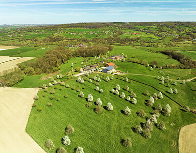 BUITEN BEELD Foto: 452616