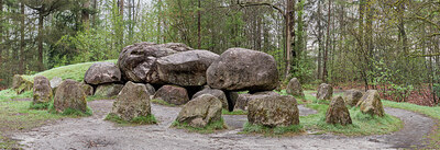 BUITEN BEELD Foto: 453243