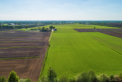 BUITEN BEELD Foto: 453670