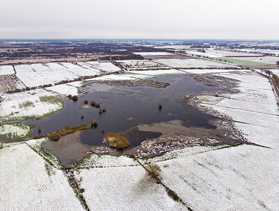 BUITEN BEELD Foto: 453675
