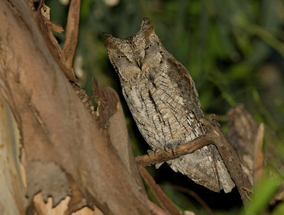 BUITEN BEELD Foto: 45013