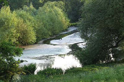 BUITEN BEELD Foto: 45063