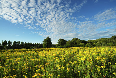 BUITEN BEELD Foto: 45072