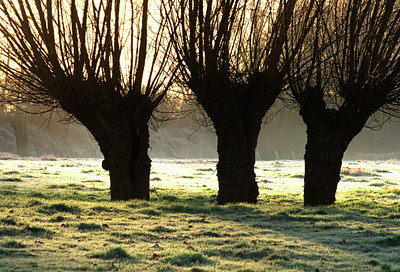 BUITEN BEELD Foto: 45088