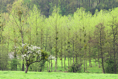 BUITEN BEELD Foto: 45117