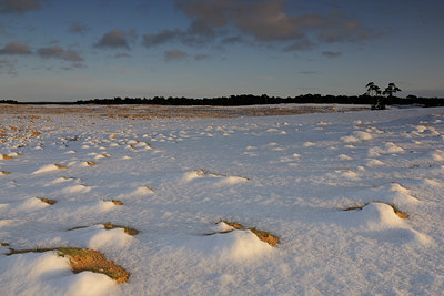 BUITEN BEELD Foto: 45172