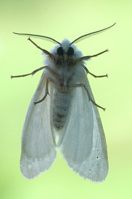 BUITEN BEELD Foto: 45183