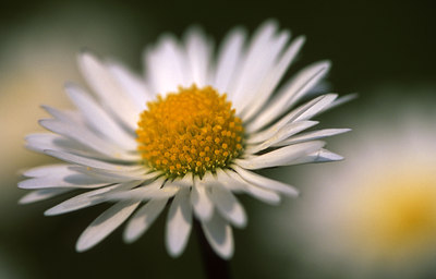 BUITEN BEELD Foto: 45189