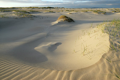 BUITEN BEELD Foto: 45196