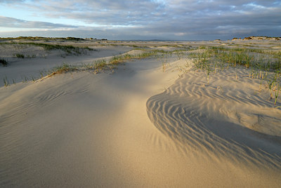 BUITEN BEELD Foto: 45197