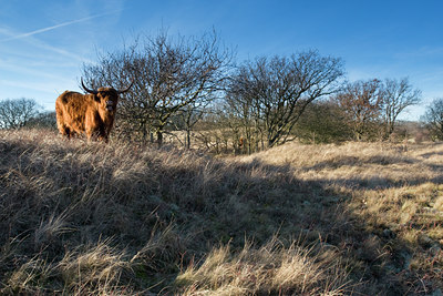 BUITEN BEELD Foto: 45208