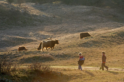 BUITEN BEELD Foto: 45209