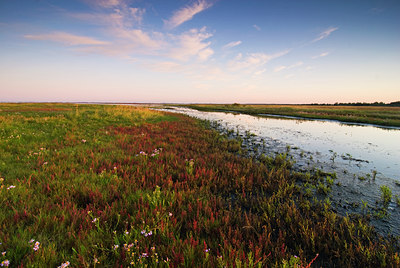 BUITEN BEELD Foto: 45221