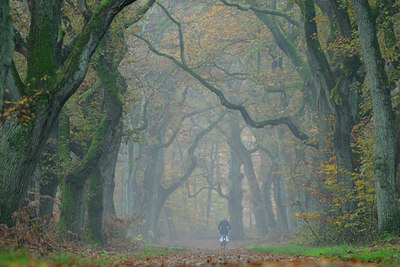 BUITEN BEELD Foto: 45241