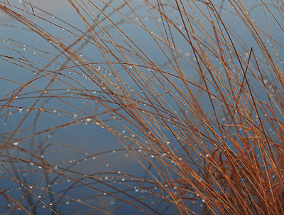 BUITEN BEELD Foto: 45247