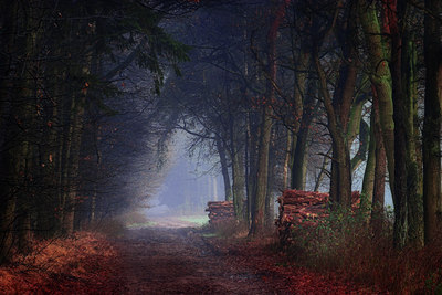 BUITEN BEELD Foto: 45251