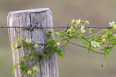 BUITEN BEELD Foto: 45273