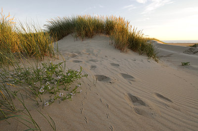 BUITEN BEELD Foto: 45278