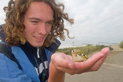 BUITEN BEELD Foto: 45294