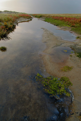 BUITEN BEELD Foto: 45296