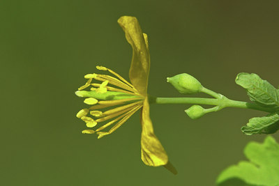 BUITEN BEELD Foto: 45309