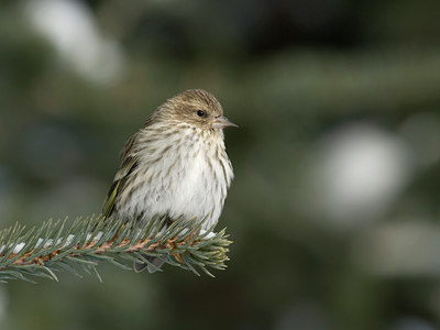 BUITEN BEELD Foto: 45412