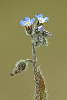 BUITEN BEELD Foto: 45419