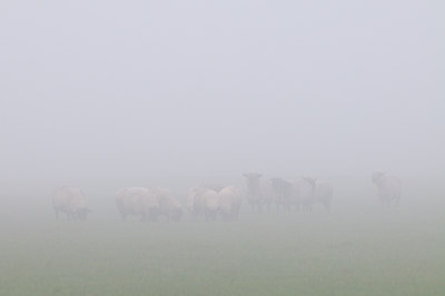 BUITEN BEELD Foto: 45460