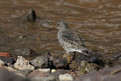 BUITEN BEELD Foto: 45509