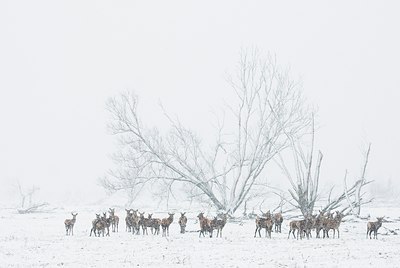 BUITEN BEELD Foto: 45548