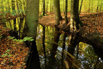 BUITEN BEELD Foto: 45639