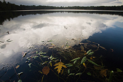 BUITEN BEELD Foto: 45670