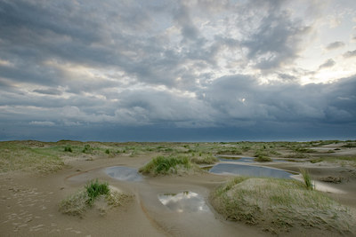 BUITEN BEELD Foto: 45681