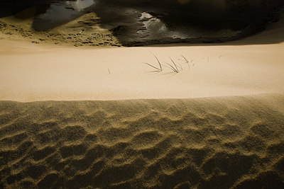 BUITEN BEELD Foto: 45682