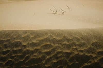 BUITEN BEELD Foto: 45683