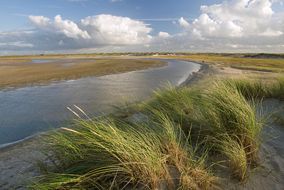 BUITEN BEELD Foto: 45692