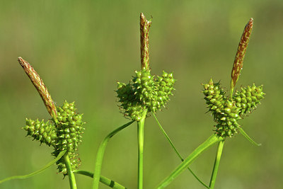 BUITEN BEELD Foto: 45817
