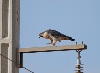 BUITEN BEELD Foto: 45876