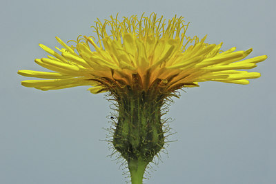 BUITEN BEELD Foto: 45899