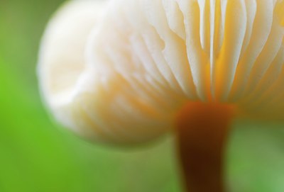 BUITEN BEELD Foto: 45918