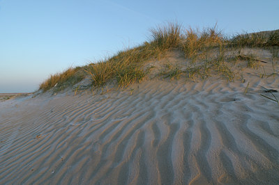 BUITEN BEELD Foto: 45930