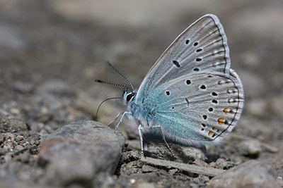 BUITEN BEELD Foto: 45978